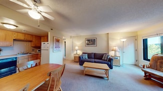 5602/04 Silver Creek Rd, Snowshoe, WV 26209
