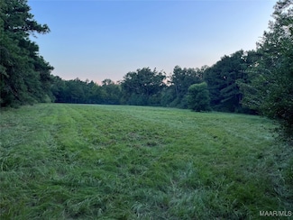 Lot 3A County Road 651, Coffee Springs, AL 36318