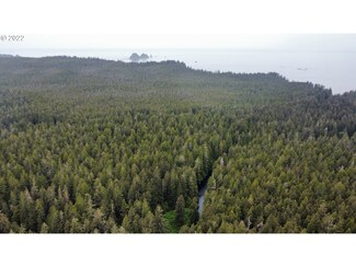0 Hoko Ozette Rd, Clallam Bay, WA 98326