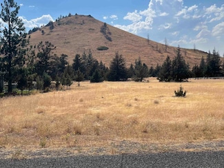 Lot 160 Mount Blanch Dr, Lake Shastina, CA 96094