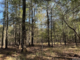 TBD Open Banks Rd, Arkadelphia, AR 71923