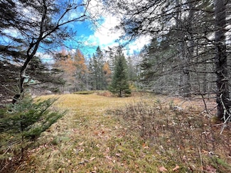 Lot #9-4 Oak Hill Rd, Bar Harbor, ME 04609