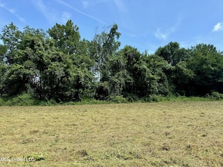 0 N First St Unit 21086894, Flora, MS 39071