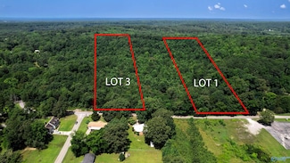 8.36 Norris Mill Rd, Decatur, AL 35603