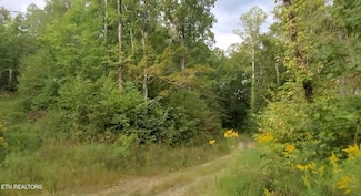 1B Junaluska Dr, Jamestown, TN 38556