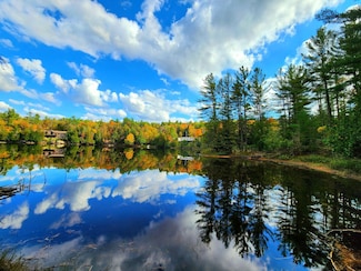 13331 Henry Rd, Natural Bridge, NY 13665