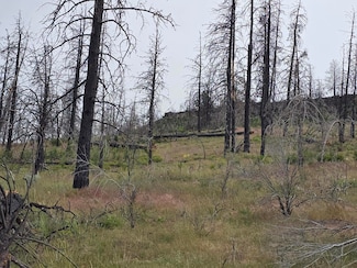 0 Oregon Pines Rd, Chiloquin, OR 97639