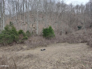 Tbd Hickory Cove Rd, Surgoinsville, TN 37873