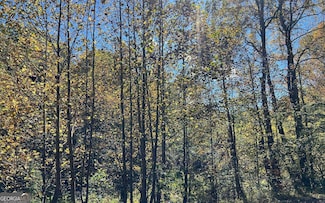 4 AC Tusquittee Rd, Hayesville, NC 28904