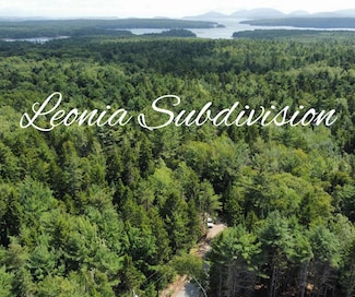 Lot #2 Leonia Rd, Hancock, ME 04640
