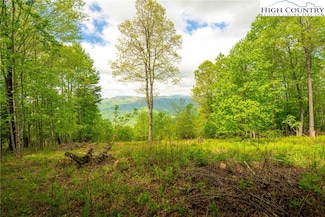 Lot 6 Skyview St, Deep Gap, NC 28618