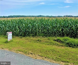 0 Hynson Rd Unit MDDO2000778, Hurlock, MD 21643