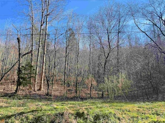 0 Rock Fence Rd NW Unit 10456677, Adairsville, GA 30103