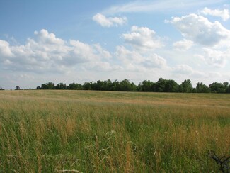 0 Shannon Cr 488 Unit 60002617, Birch Tree, MO 65438