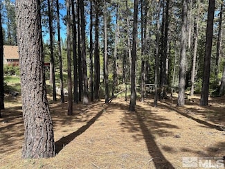 546 Pleasant Valley Rd, Markleeville, CA 96120
