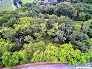 LOT 4 Springhouse Rd SE, Huntsville, AL 35802
