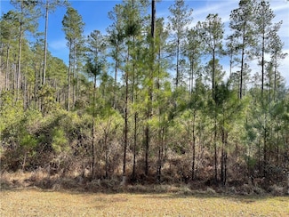Lot 97 Drayton's Way, White Oak, GA 31568
