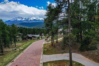 270 Thunder Ridge Dr, Woodland Park, CO 80863
