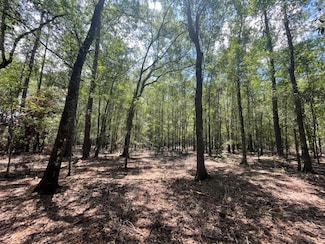0 Plum Pudding Rd Unit 74663, Livingston, TX 77351