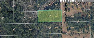 0 Fort Christmas Rd Unit MFRO6244660, Orlando, FL 32820