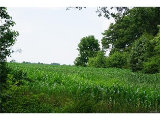 17335 Washington Hwy, Doswell, VA 23047