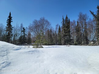 1205 Dorenda Ct, Kenai, AK 99611
