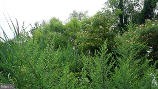 22 Walnut St, Ocean Township, NJ 08758