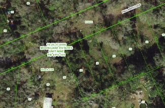 12456 Pallanza Loop, New Port Richey, FL 34654