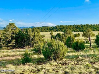 TBD N3208 Lots C & D 19 62 Acres --, Vernon, AZ 85940