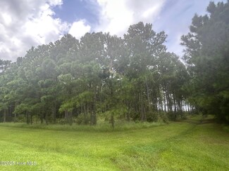 297 Garbacon Dr, Merrimon, NC 28516