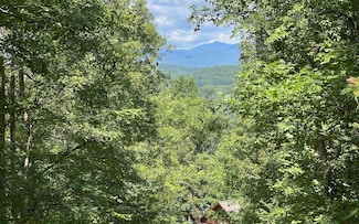 LOT 17A Trillium Hgts Dr, Hayesville, NC 28904