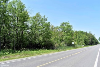 6789 Oak Beach Rd, Port Austin, MI 48467