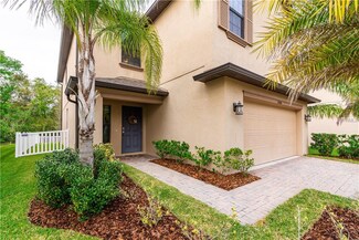20046 Date Palm Way, Tampa, FL 33647