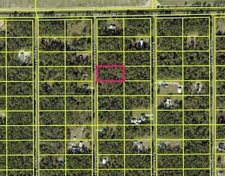 10030 Flikkema Ave, Hastings, FL 32145