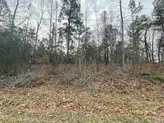 0 S Side of Ginger St, Poplar Bluff, MO 63901