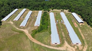 156 Jake Frost Rd, Downsville, LA 71234