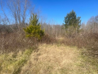6255 Lagrange Rd, Leighton, AL 35646