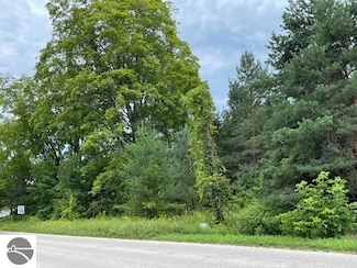 00 E State St, Central Lake, MI 49622