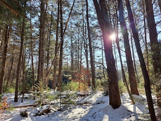 L 17 Rice Rd, Hope, NY 12134