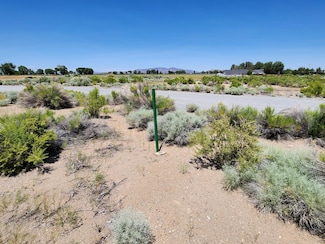 23 Calico Hills Ln, Yerington, NV 89447