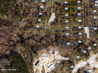 344 Tuliptree Rd SW, Supply, NC 28462