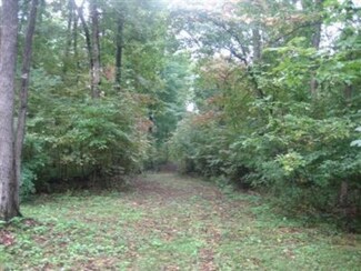 0 Monkey Run, Newberg Township, MI 49061