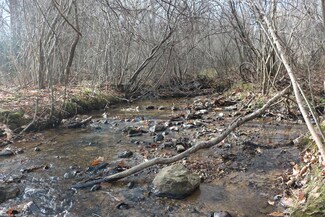 TBD Millimeter Rd SW, Burks Fork, VA 24091