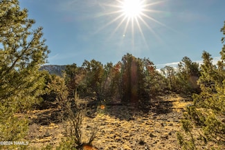 10443 N Covey Ln Unit 22, Williams, AZ 86046