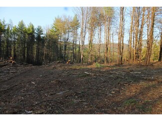Lot 98-3 Mccollum, New Boston, NH 03070
