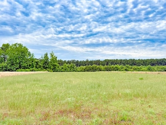 Tbd Krystal Farm Rd Unit LotWP001, Mullins, SC 29574