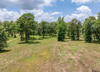 765 Stone Chimney Rd (Lot 2 Cr 3608), Bullard, TX 75757