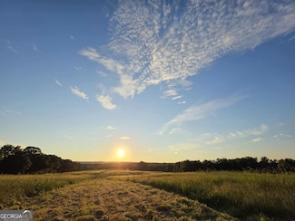 0 Ellerbeetown Rd Unit 10599300, Thomaston, GA 30286