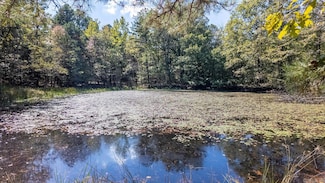 TBD Forrest Dr, Houston, MO 65483