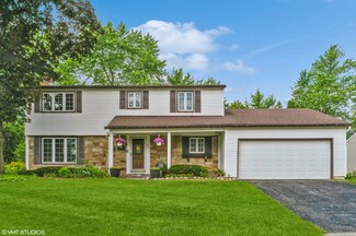 214 N Braintree Dr, Schaumburg, IL 60194